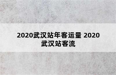 2020武汉站年客运量 2020武汉站客流